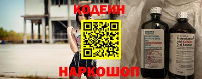 шишки Новодвинск