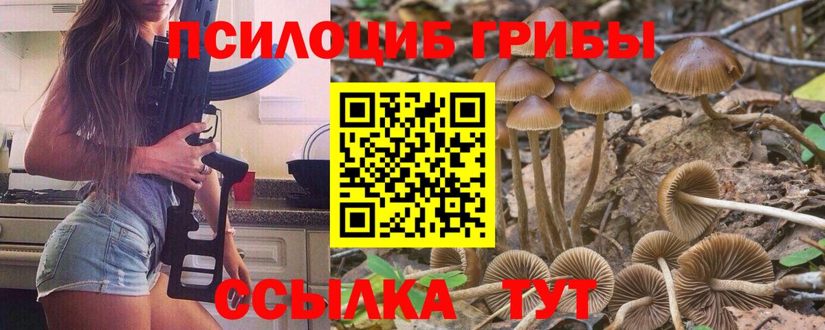 Галлюциногенные грибы Magic Shrooms Троицк